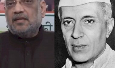 amit shah blame jawahar lal nehru on unsc issue