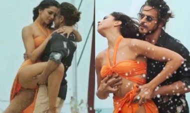 controversy on sharukh khans movie besharam rang