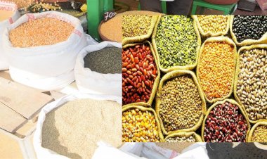 new year and smartfood by neelu shekhawat