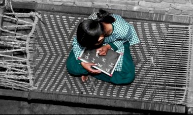 article on sanitary pads