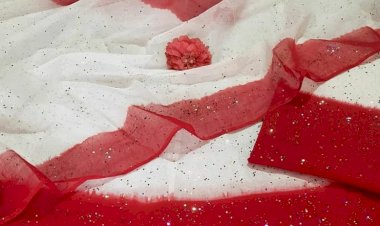 holi article faag by neelu shekhawat