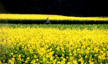 seasons article by neelu shekhawat