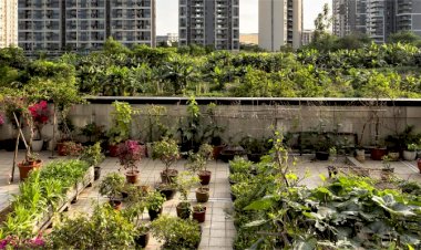 low cost business ideas with high profit in hindi