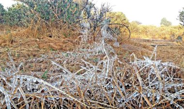 poem by neelu shekhawat on winter siyalo