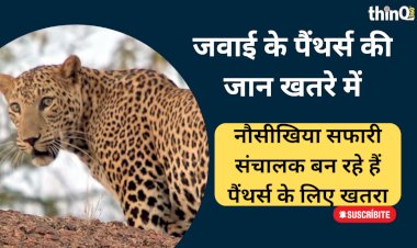 rajasthan wildlife panther conservation reserve sumerpur jawai dam