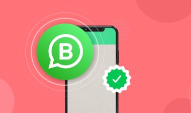 will whatsapp verification also cost