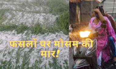 rain thunderstorm hail alert issued in rajasthan ahead of holi