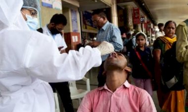 42 people died and 12193 new positive in 24 hours 3742 active cases in rajasthan