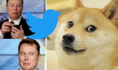 users were surprised to see the new logo of twitter