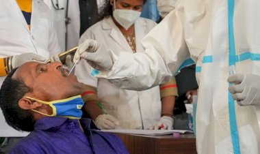 28 died and more than 11500 newly positive registered last 24 hours in india