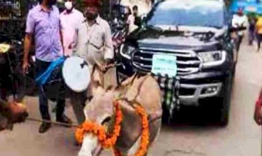 2 donkeys pulling new car worth 17.50 lakhs on streets of udaipur