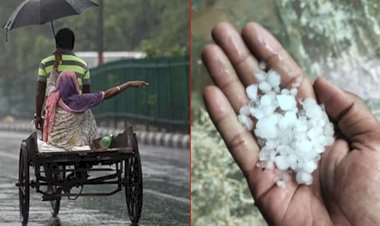 rain and hailstorm chilled people 2 died due to lightning many cattle killed in rajasthan
