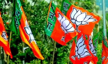 bjp state president changed before elections