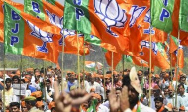 sp sweeps in up mayor election bjp blossoms in 16 out of 17 seats