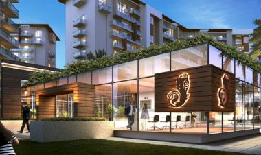 scam of billions government land in jaipur the builder went to drain recommended investigation by cbi ed jaipuria trust jwells of india