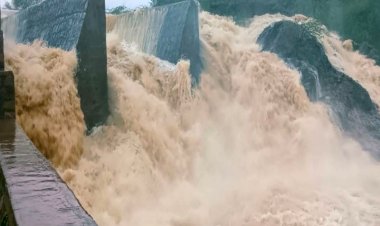 5 killed in rajasthan due to heavy rain holiday declared in schools in many districts