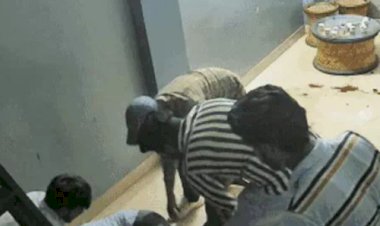 22 years old young man murder in bikaner