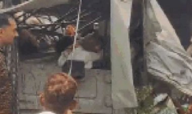 6 killed 11 injured in truck jeep collision in dausa rajasthan