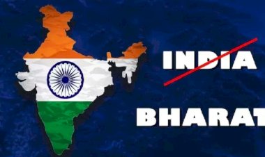 india bharat article blog by neelu shekhawat