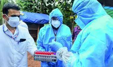 nipah virus alert issued in rajasthan after many cases found in kerala