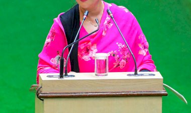 deputy chief minister approved   common people will get eco friendly transportation facility petrol and diesel will be saved