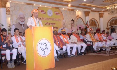 chief minister bhajan lal sharma and bjp state president cp joshi attended the lok sabha cluster meeting in udaipur