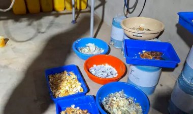 drugs factory exposed making drugs from the chemical of nail polish remover action continues