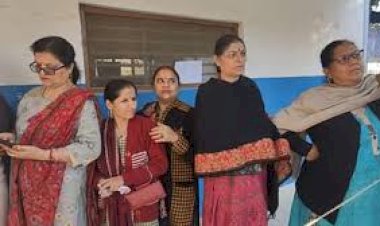 kashmiri pandits thinking about lok sabha elections in kashmir