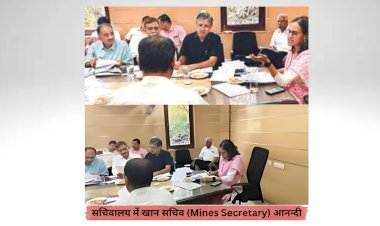 roadmap for monthly auction will be made from the month of june   mines secretary anandi