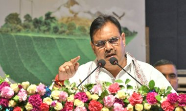 documents of government employees employed under gehlot rule will be scrutinized