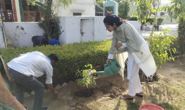 plantation program in central jail and womens prison correctional home