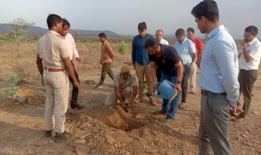 haryalo baran campaign by chief minister bhajan lal sharma