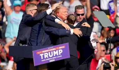 firing on donald trump in usa election rally