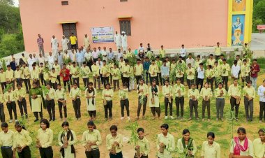 more than 9 lakh 92 thousand people died in jaipur district