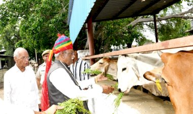 governors inspection of cowshed and dairy plant on janmashtami