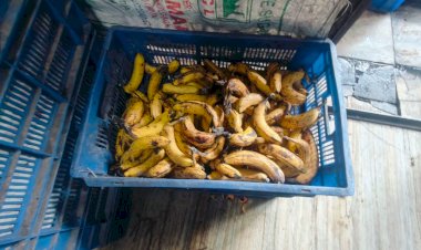 inspection at famous juice center