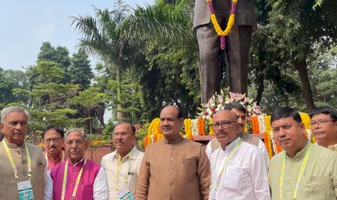 vasudev devnani appointed to cpa india executive committee