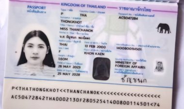 thai woman shot a thai woman who had come to visit udaipur was shot in the back