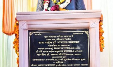 unveiling of dr. bhimrao ambedkar statue and laying of foundation stone of the garden