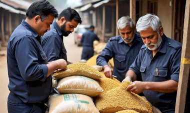 sirohi 4450 kg fungus dal destroyed