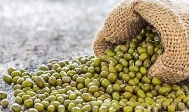 moong purchase registration sriganganagar hanumangarh sept 27