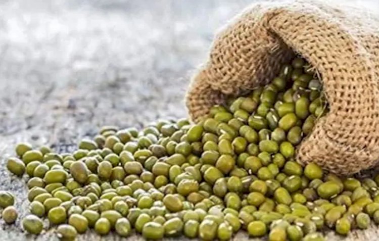 moong purchase registration sriganganagar hanumangarh sept 27