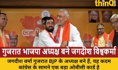 jagdish vishwakarma gujarat bjp president obc challenge