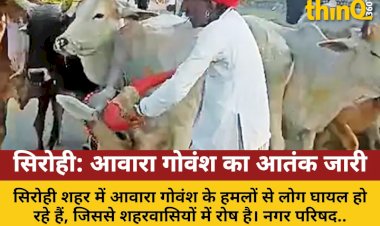 sirohi cattle owners freed cattle anger in city