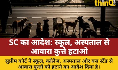 sc ka adesh school hospital se awara kutte hataye jaye highway se janwar bhi