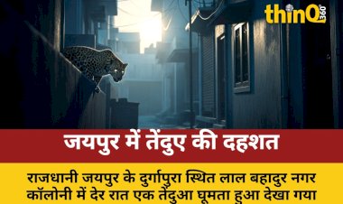 jaipur leopard sighting residential area cctv