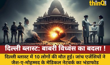 delhi blast babri vidhvans ka badla lene ki thi jaish ki sazish