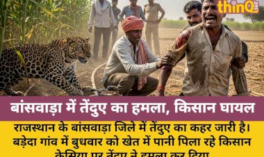 banswara leopard attack farmer injured while watering fields