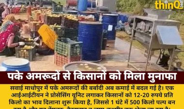 europe idea ripe guava value iitian changed farmers fate