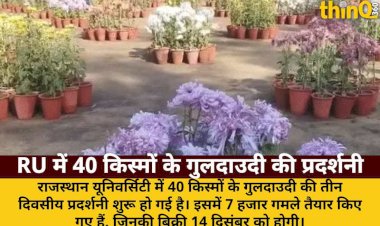 rajasthan university guldaudi exhibition 40 varieties 7k pots